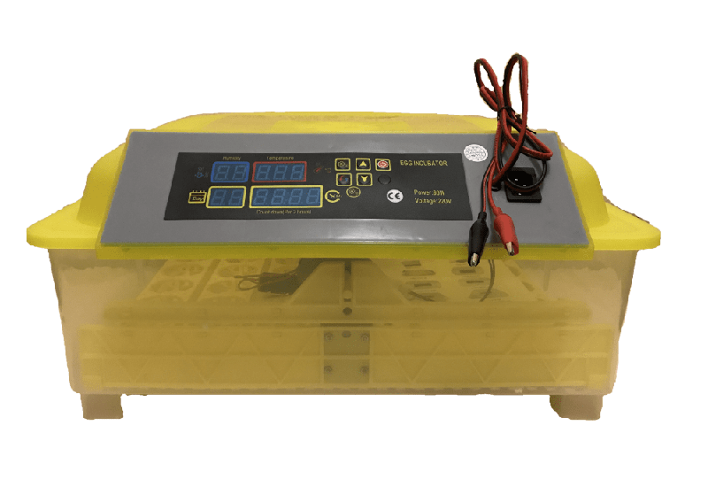 Инкубатор HHD 48 автоматический для яиц на 220В/12В от сети и аккумулятора